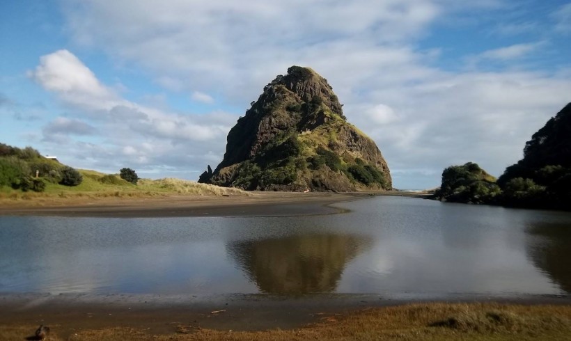 Learn about and explore Piha Stream and Lagoon Event